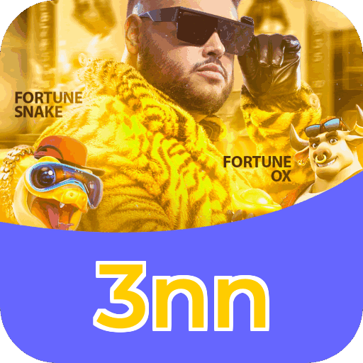 3nn